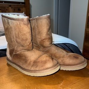 UGG chestnut classic short boots